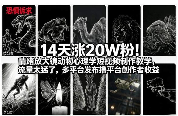 动物心理学短视频制作教学