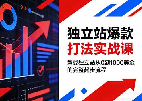 独立站爆款打法实战课