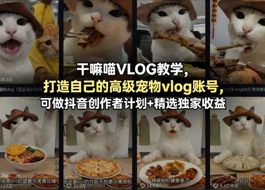 干嘛喵VLOG教学:打造自己的高级宠物vlog账号