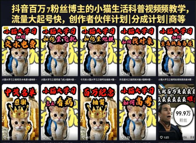 抖音百万粉丝博主的小猫生活科普视频教学